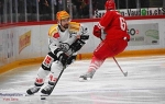 Play-offs NL: Présentation de la série Lugano - Rapperswil-Jona