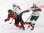KHL : La panthère des neiges sort du bois