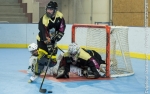 Roller N3 - Villard Bonnot s'impose face à Clermont