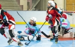 Roller N3 - Villard Bonnot s'incline face à Valence