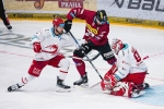TELH : Le champion n'a pas dit son dernier mot