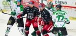 TELH : Les lions se mangent entre eux
