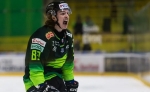 Tipos Extraliga : Les loups dans le dernier carré
