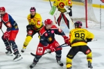  : Grenoble  vs Bern