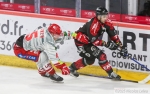 Ligue Magnus  : 24ème journée : Amiens  vs Grenoble 