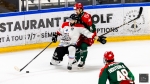 Ligue Magnus  : 25ème journée : Cergy-Pontoise vs Bordeaux