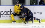 Ligue Magnus  : 27ème journée : Nice vs Rouen