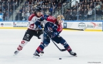 Ligue Magnus  : 28ème journée : Angers  vs Amiens 