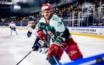 Ligue Magnus  : 34ème journée : Cergy-Pontoise vs Gap 