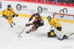Ligue Magnus - 1/4 de Finale - Match 4 : Amiens  vs Rouen