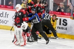 Ligue Magnus - 1/4 de Finale - Match 6 : Amiens  vs Rouen