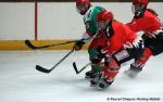 Hockey Féminin Elite