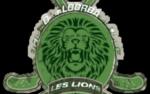 Prise de la Température avec les Lions de Brunoy