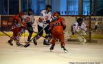 U15 Elite : Les Dogs ont du chien