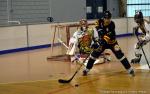 N2 : Les Griffons en promenade