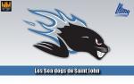 LHJMQ - CHAPEAU BAS ! Mr BOKO IMAMA
