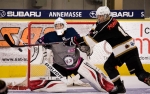 Le HC 74 débute par un succès