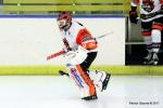 Photo hockey match Nice - Epinal  le 17/11/2017